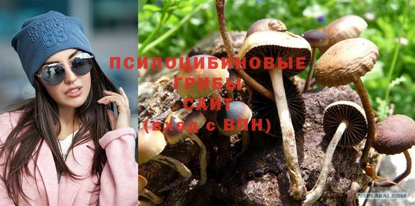 apvp Богданович